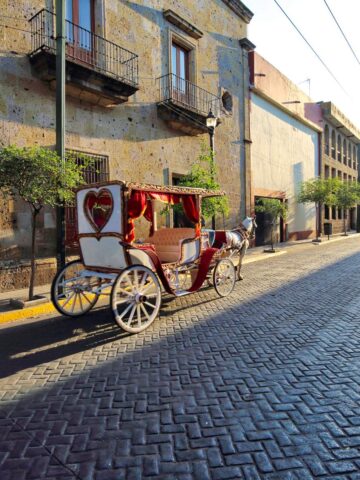 A horse drawn carriage on a cobblestone street.