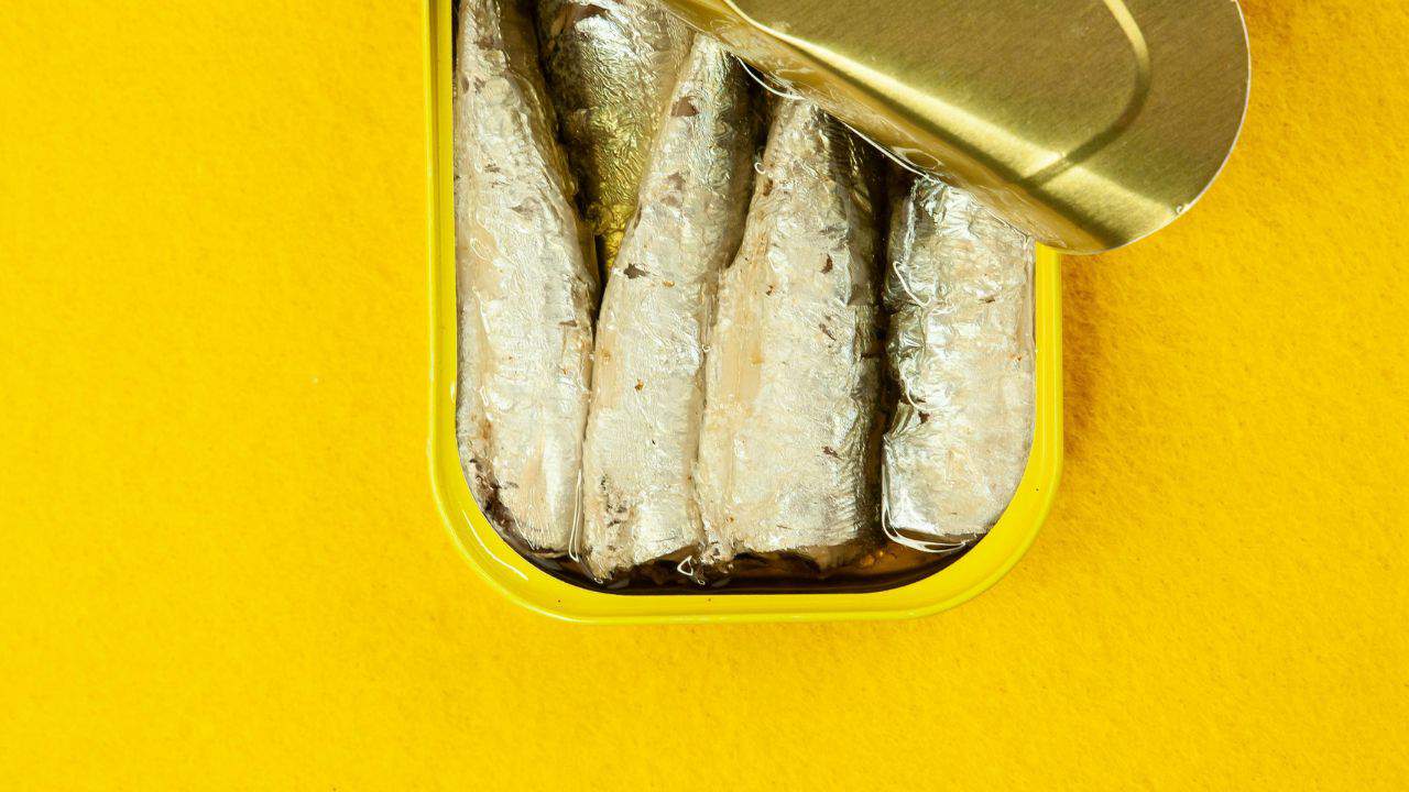 An open tin of sardines on a bright yellow background.