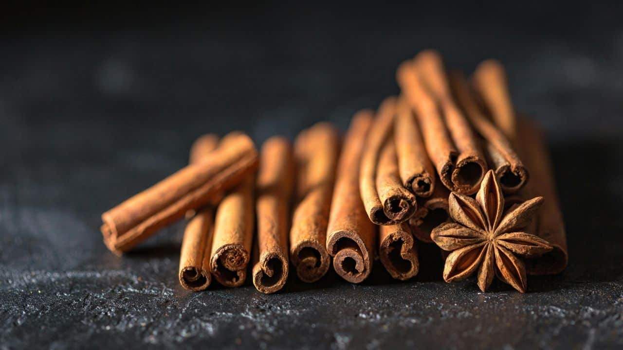 Cinnamon sticks and star anise arranged on a dark textured surface.