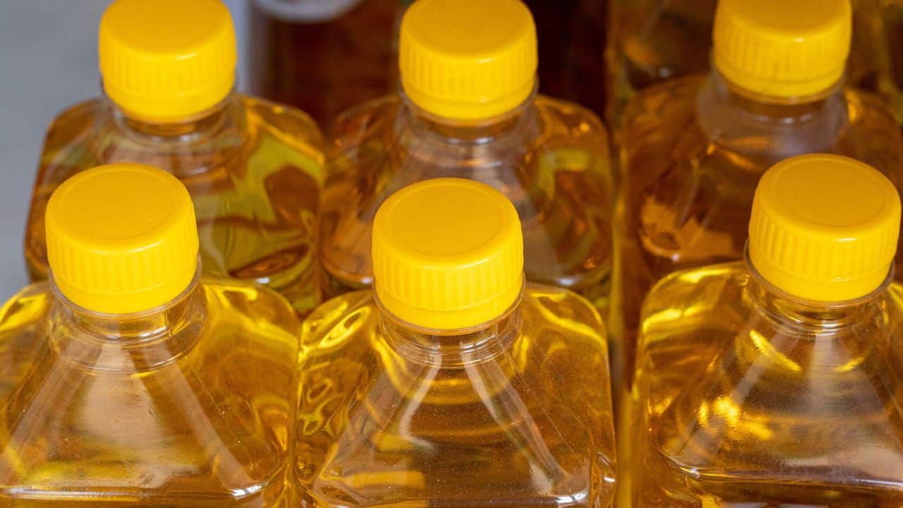 Plastic bottles filled with yellow cooking oil, topped with yellow caps, arranged closely together.