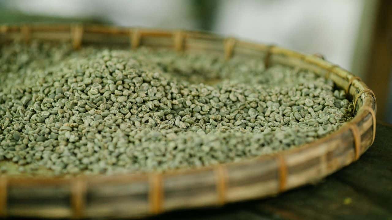 Basket filled with unroasted green coffee beans on a wooden surface.