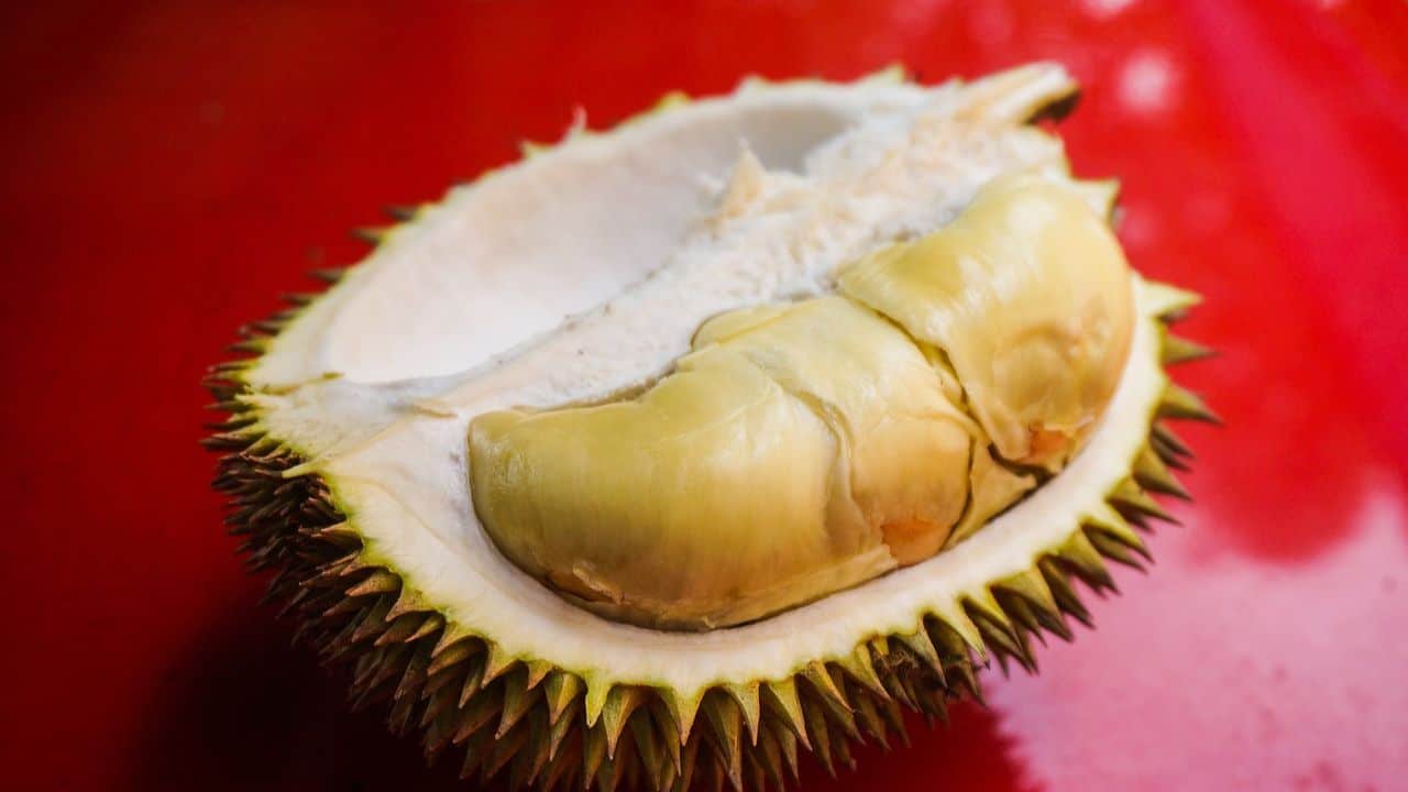 Half-opened durian on a red surface, showing its yellowish flesh and spiky outer skin.