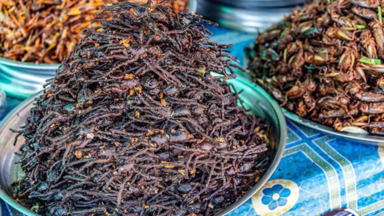 Plates filled with various fried insects, including a pile of fried spiders, are displayed on a patterned tablecloth.