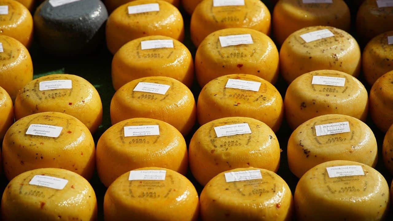 Rows of round, yellow cheeses with labels displayed at a market.
