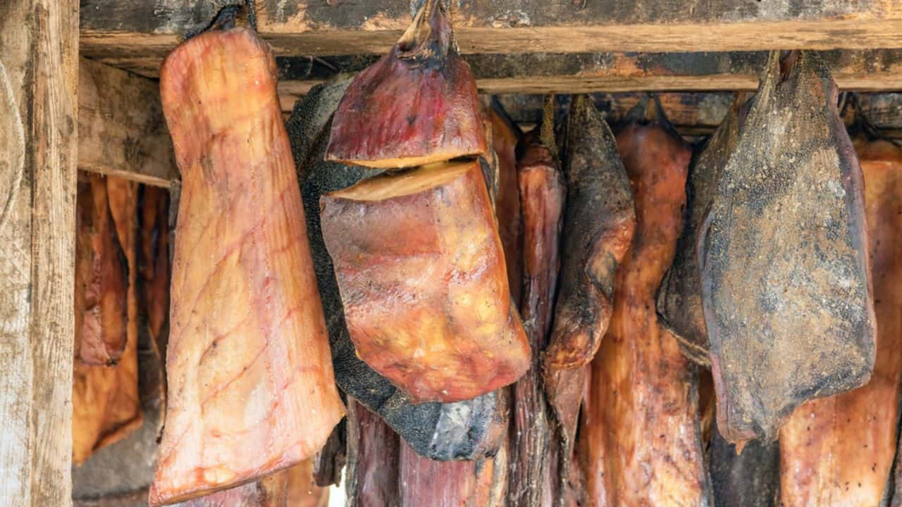 A row of hanging cured and dried fish under a wooden structure.