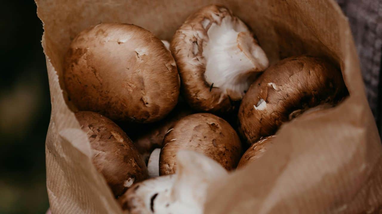 A paper bag filled with several brown mushrooms.