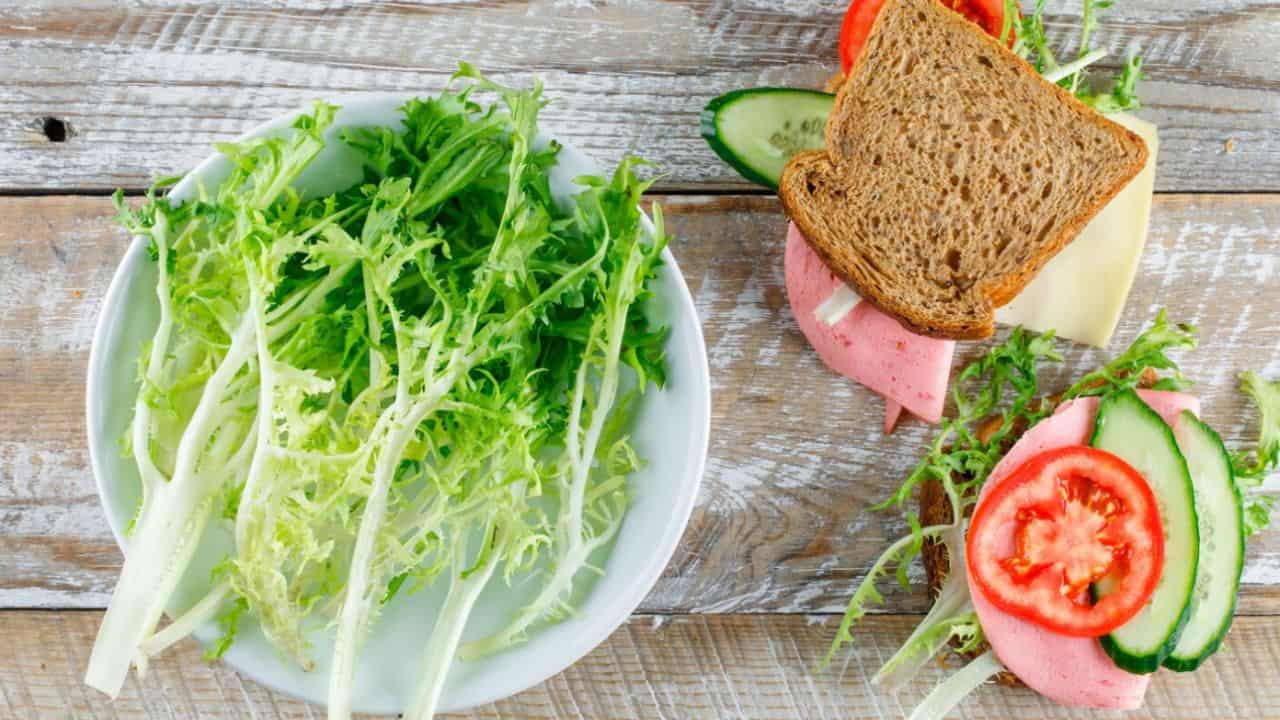 A plate of green leafy lettuce and a sandwich with lettuce, tomato, cucumber, cheese, and sliced meat on a wooden surface.