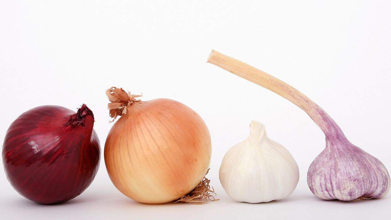 Red onion, yellow onion, garlic bulb, and purple garlic bulb arranged in a row on a white background.
