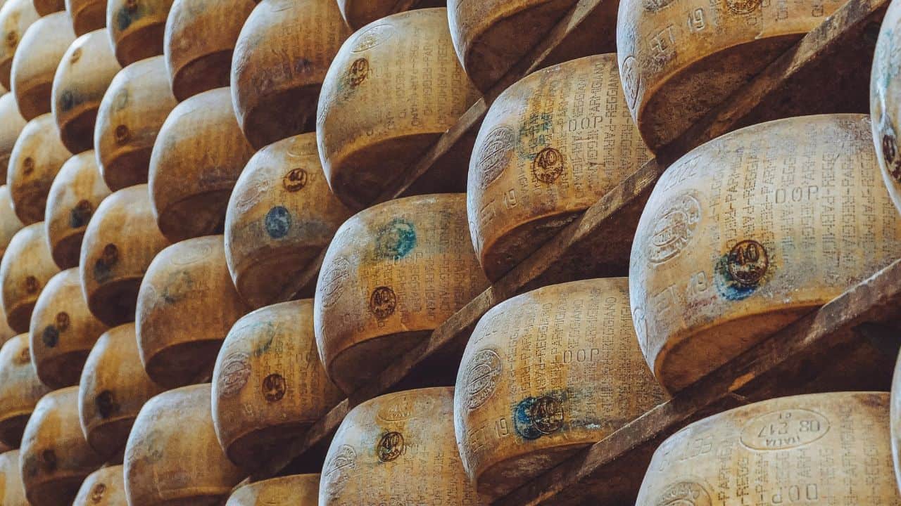 Wheels of aging cheese stacked on wooden shelves in a storage room, with visible markings and a slightly worn appearance.