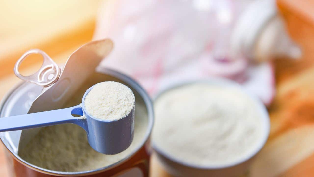 A blue scoop of powdered baby formula over an open tin can, with a bowl of formula and a blurred background.