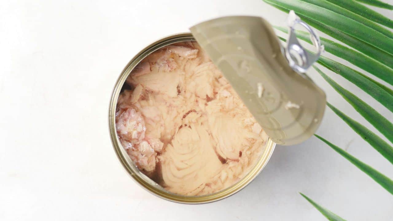An opened can of tuna sits on a white surface with a green plant leaf partially visible in the corner.