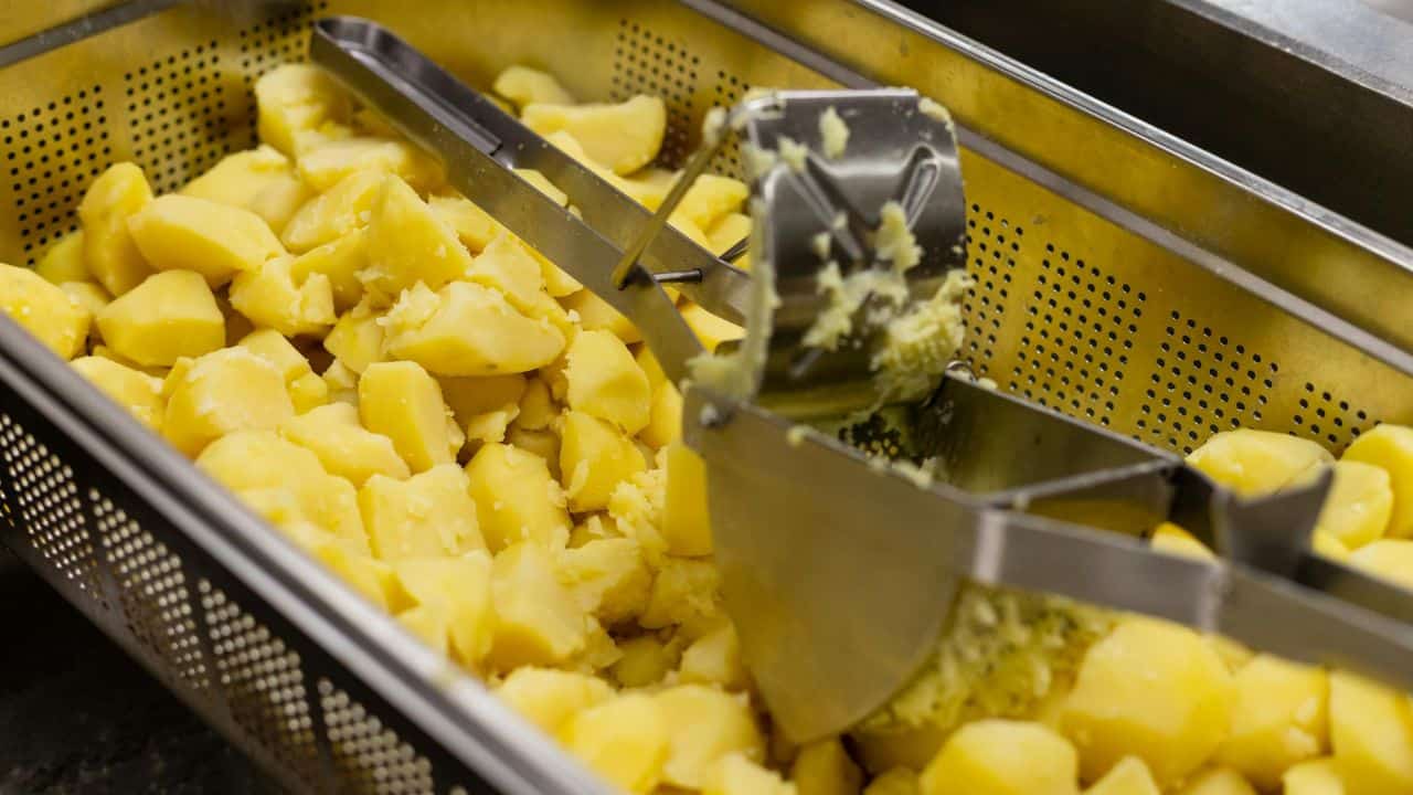 A metal potato masher in use over a container filled with chopped, cooked potatoes.