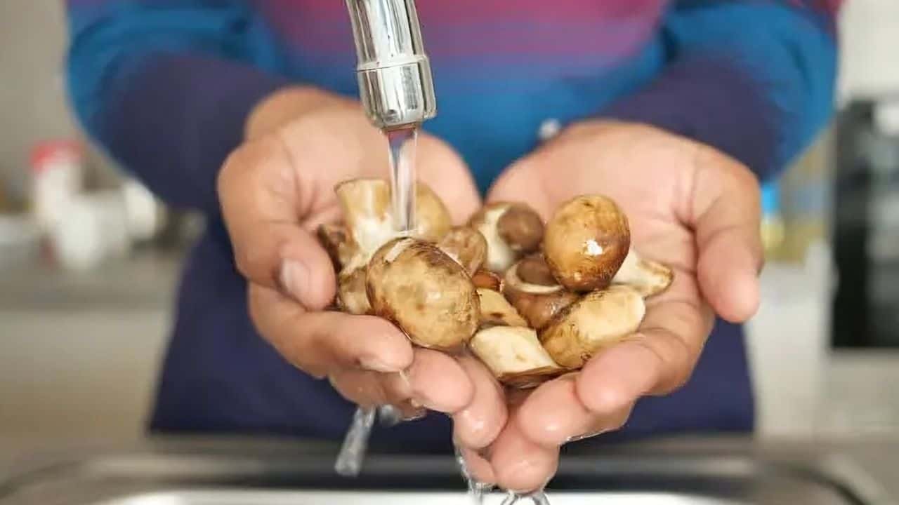 Person washing mushrooms under a running faucet over a sink.