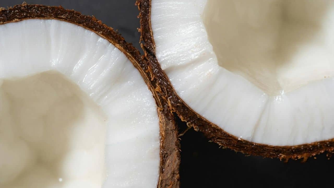 Close-up of two halves of a coconut on a dark background, showing the white flesh and brown outer shell.