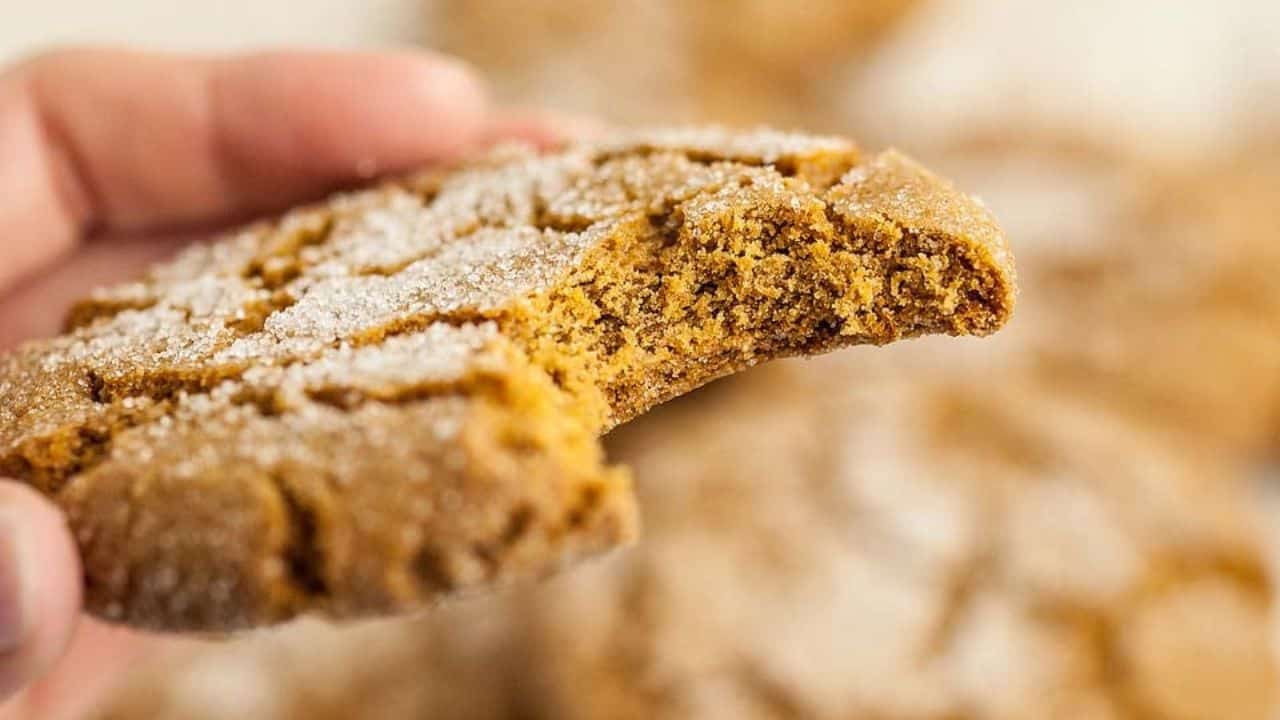A hand holding a partially eaten, sugar-coated brown cookie with a soft, crumbly texture.