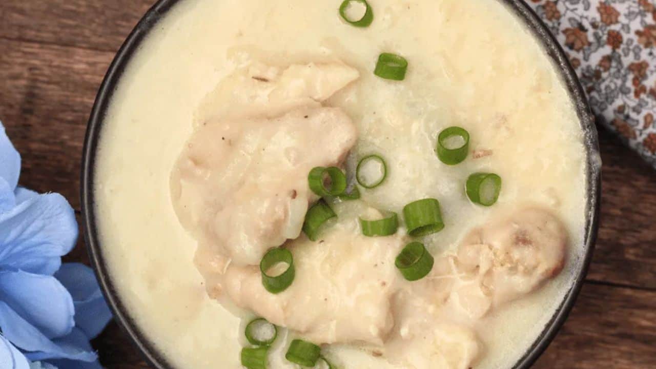 A bowl of soup with chicken and green onions.