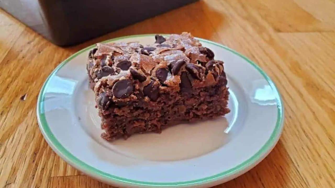 A small plate with a slice of chocolate chip applesauce cake with the pan holding the rest of the cake behind it.