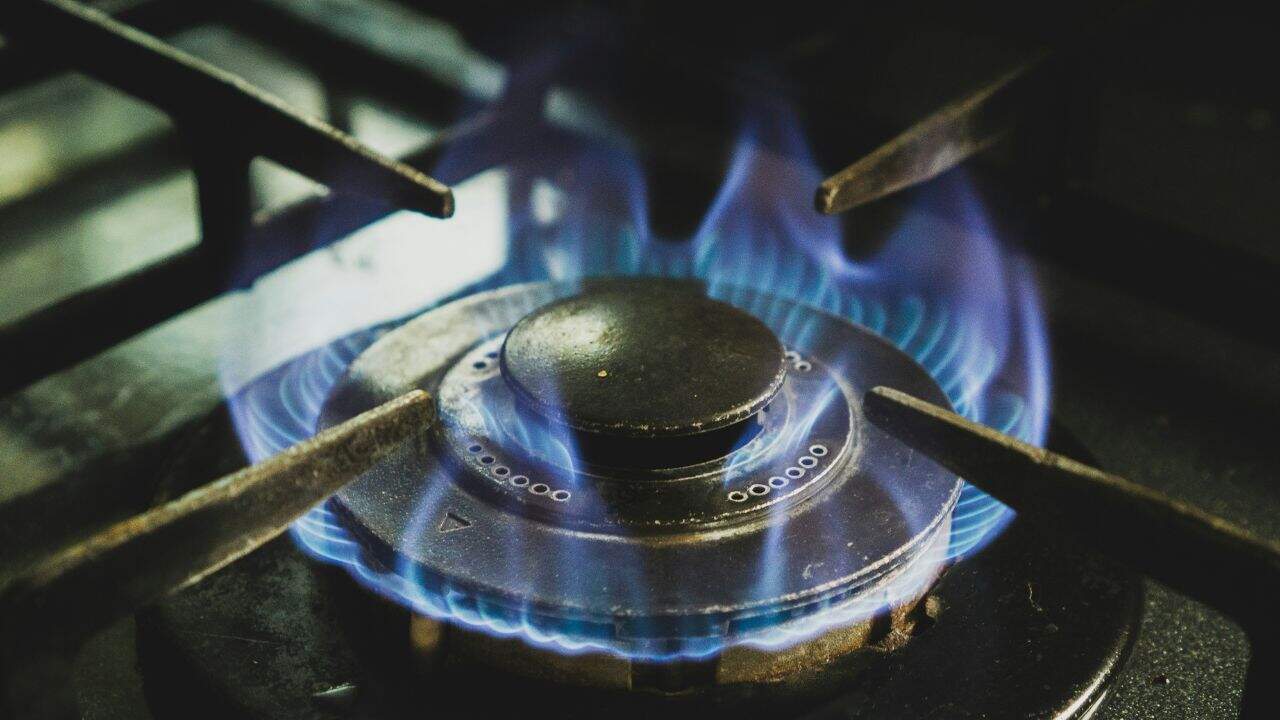 Close-up of a lit gas stove burner with blue flames surrounding the black metal burner cap.