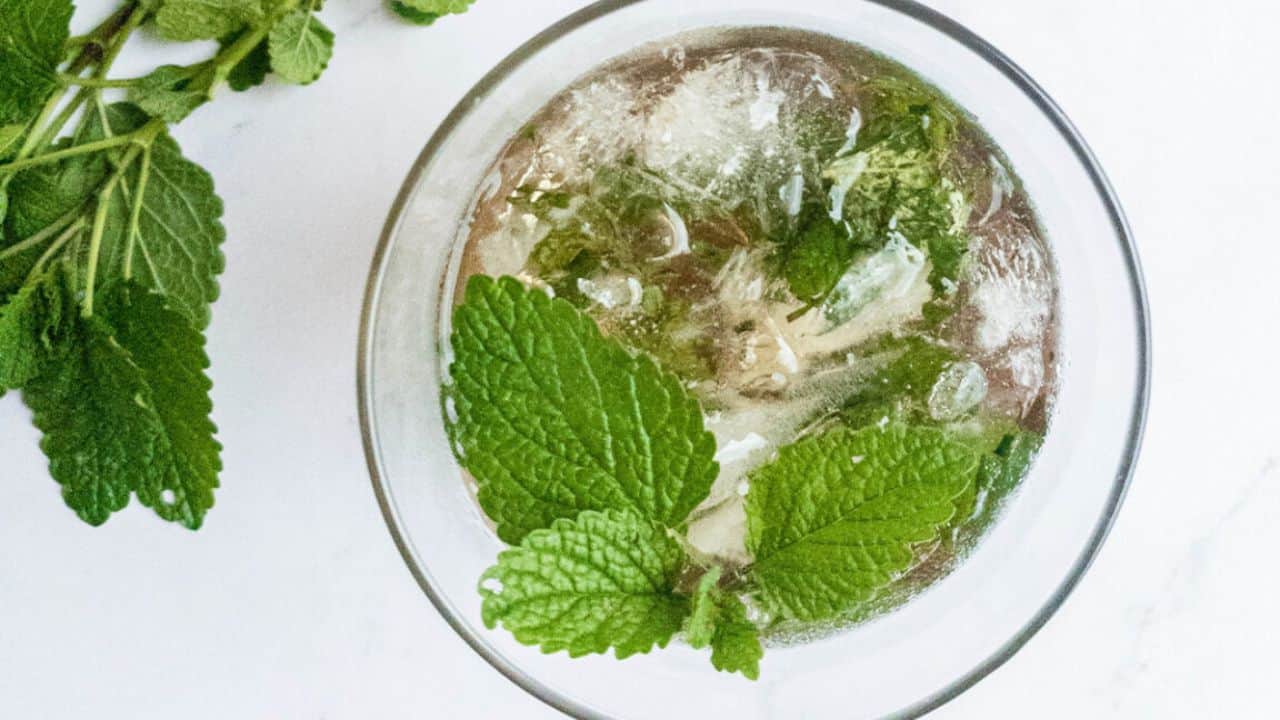 Top view of a glass with a drink containing ice cubes and mint leaves, with additional mint sprigs placed beside the glass on a white surface.
