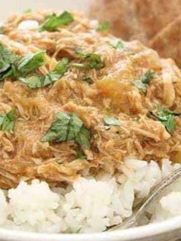 A bowl of white rice topped with shredded chicken in sauce, garnished with chopped cilantro, served with pita bread on the side.