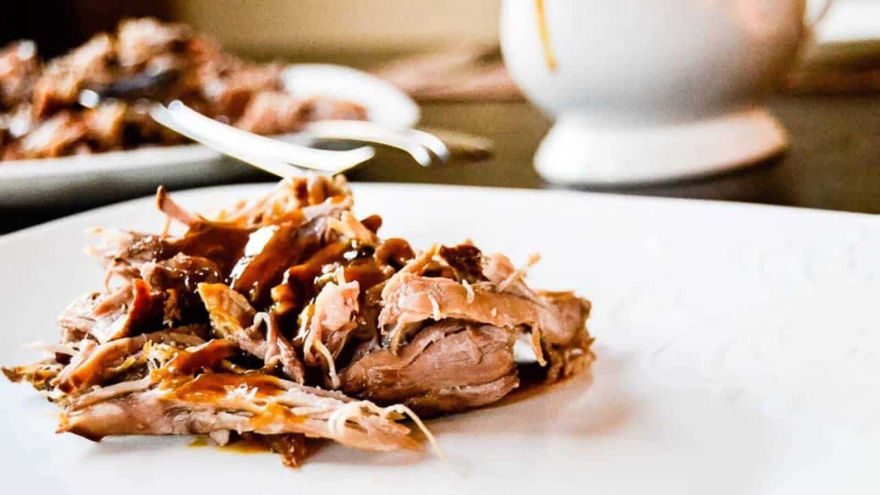 A white plate with saucy shredded meat, herb garnish, and a fork on top.