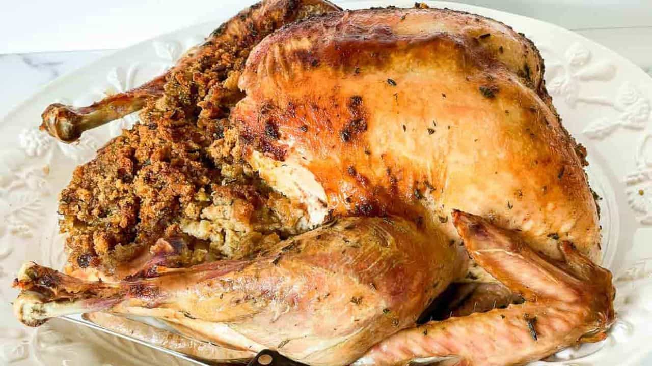 A top down view of a turkey dinner.