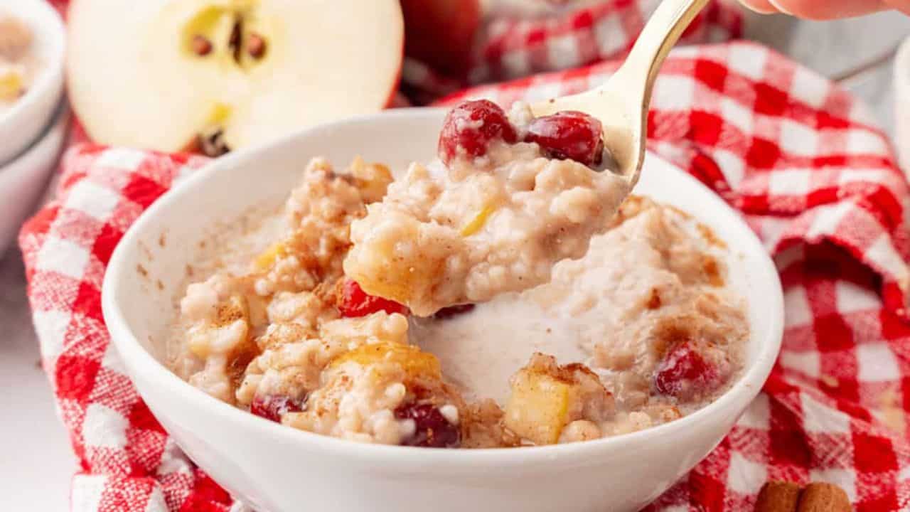 A white bowl filled with oatmeal and cranberries.