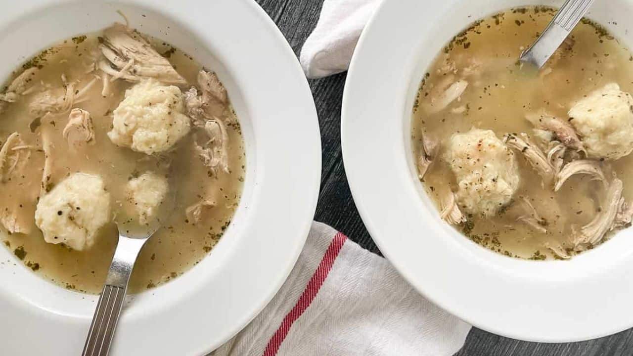 Chicken and dumpling soup in a bowl.