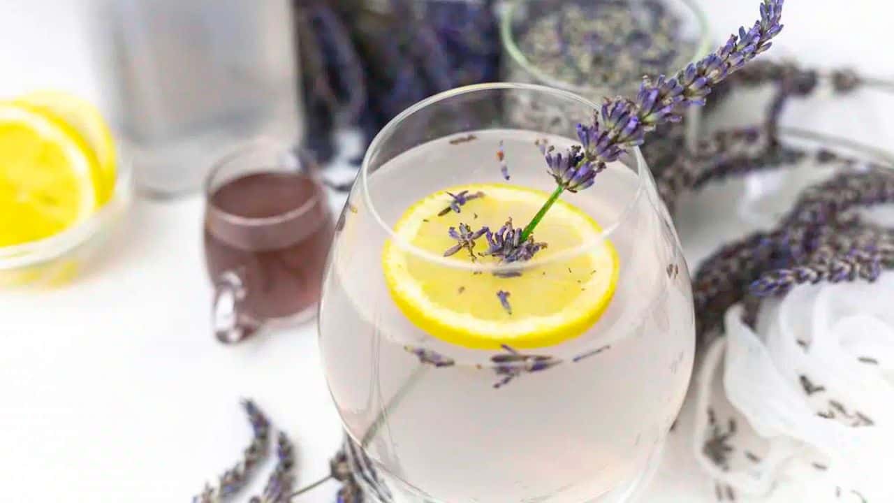 A glass of lemon and lavender mocktail garnished with lavender sprigs.