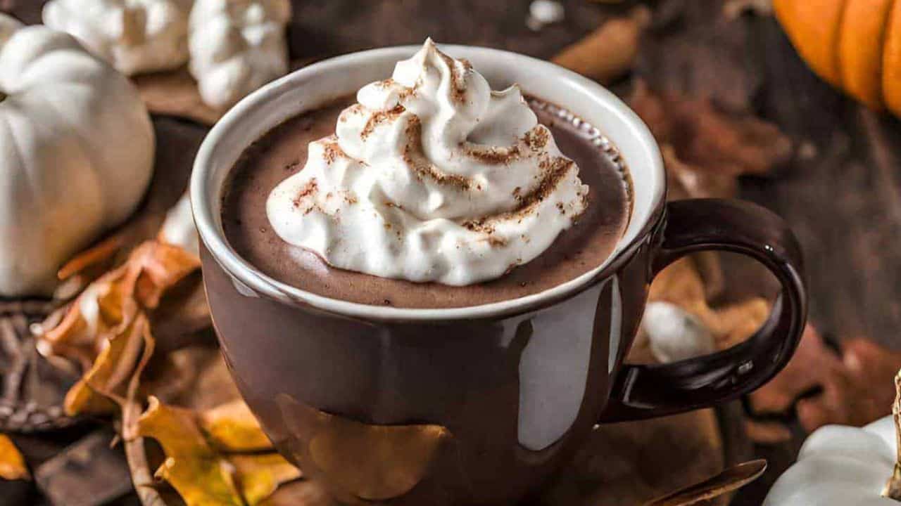 A cup of hot chocolate with whipped cream and pumpkins.
