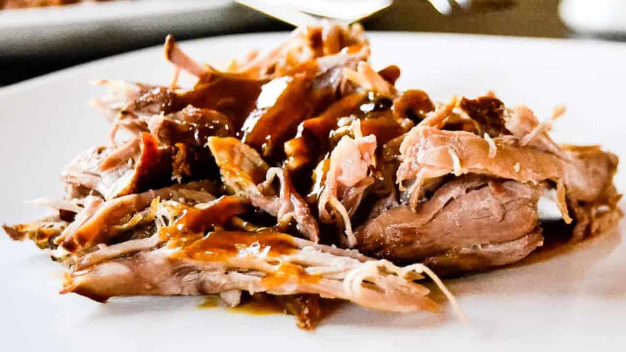 A white plate with saucy shredded meat, herb garnish, and a fork on top.