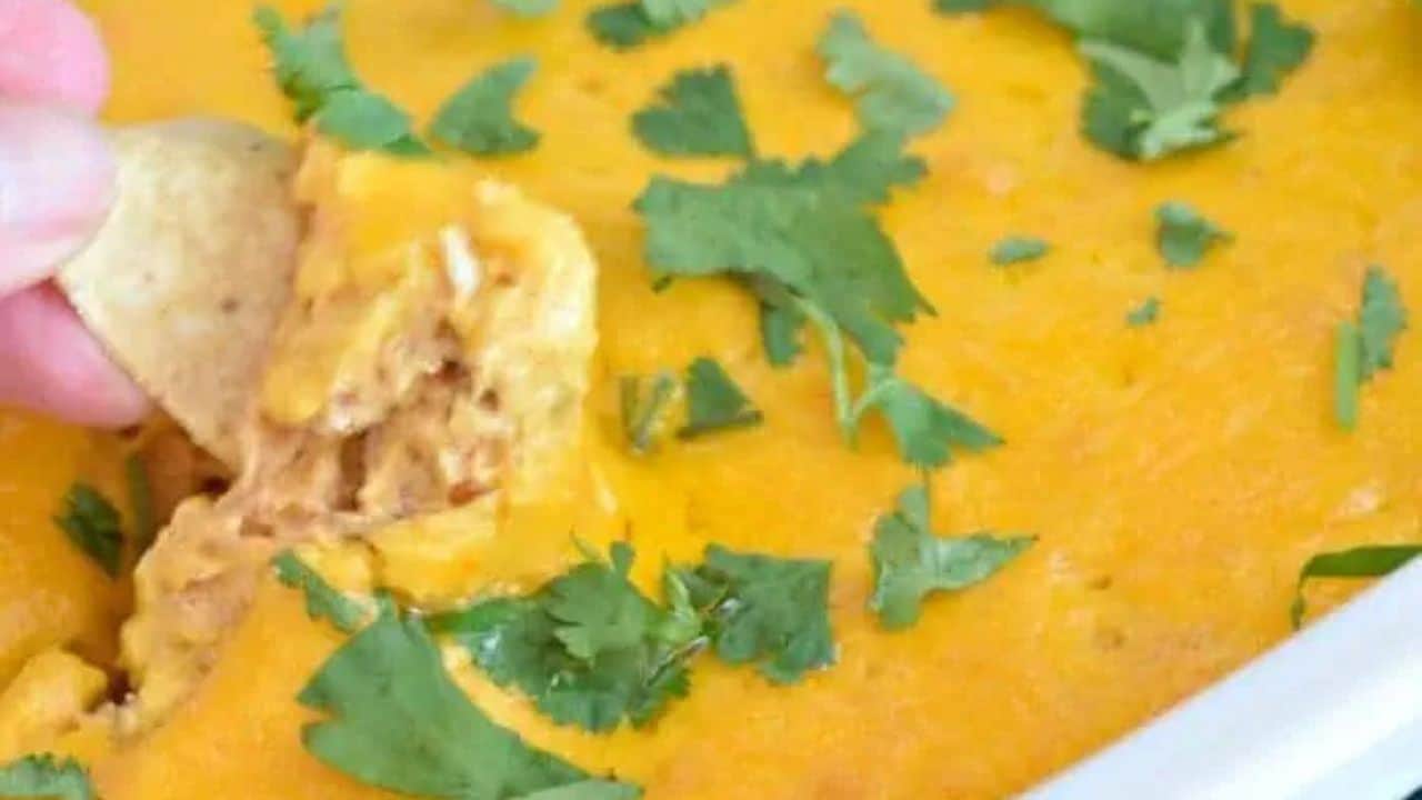 Image shows a corn chip with Chicken enchilada dip on it and the full container behind it.