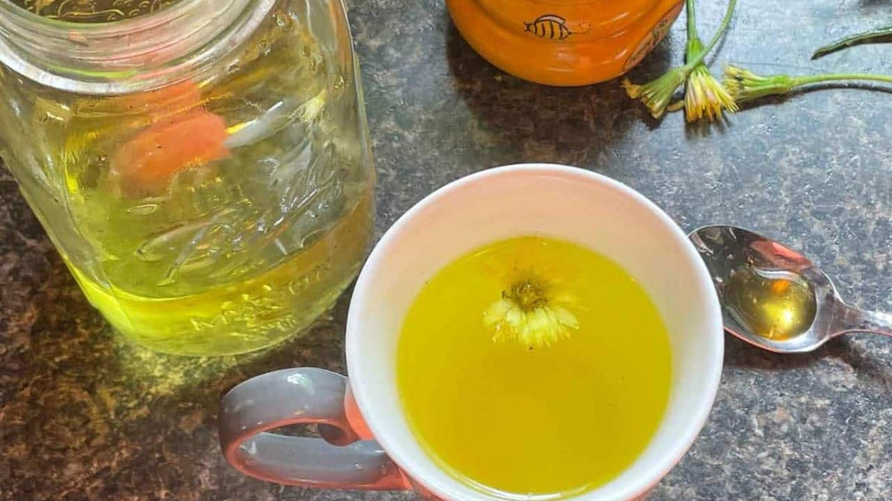 A cup of dandelion tea on a counter with a mason jar of tea and a spoon with honey.