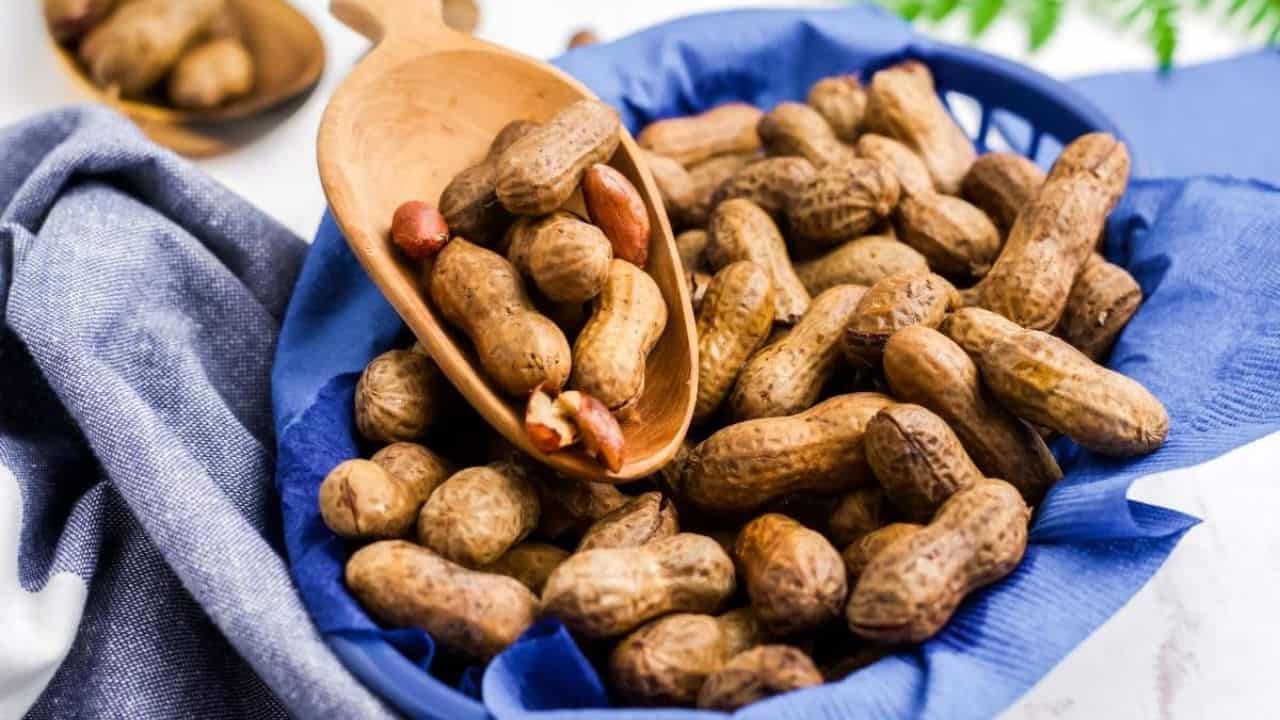 A basket lined with blue cloth filled with unshelled peanuts, with a wooden spoon resting on top holding a few peanuts.