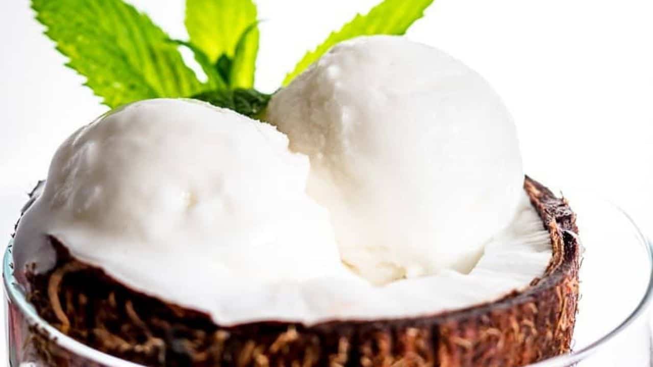 Keto Coconut Ice Cream inside coconut shells with strawberries around.