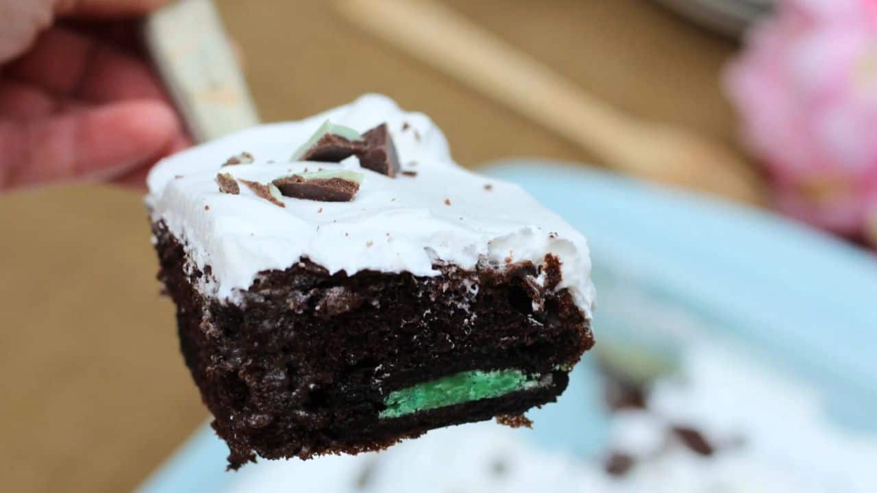 A piece of cake on a metal spatula.