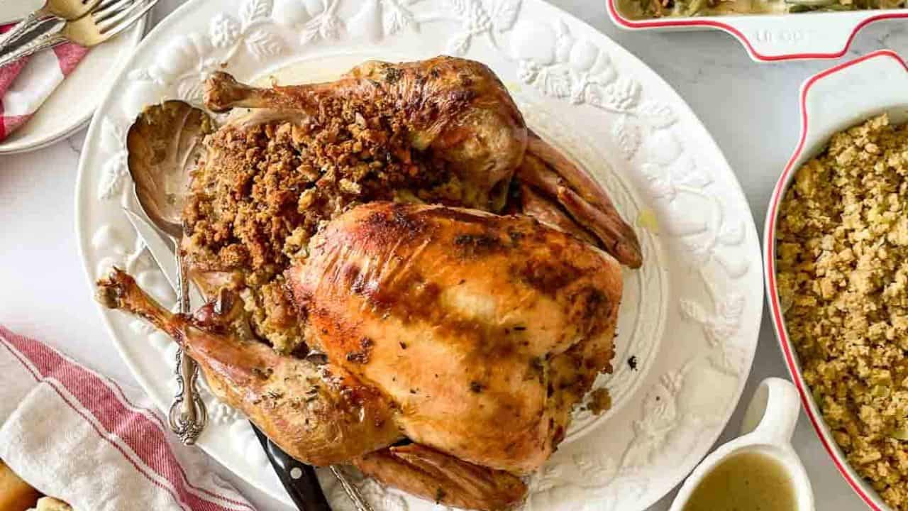 A top down view of a turkey dinner.