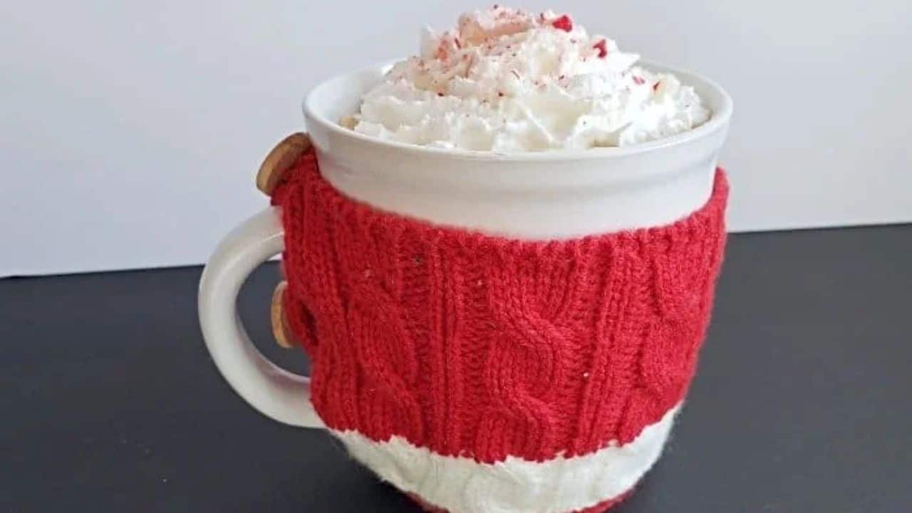 Image shows A cup of hot chocolate with whipped cream and peppermint.