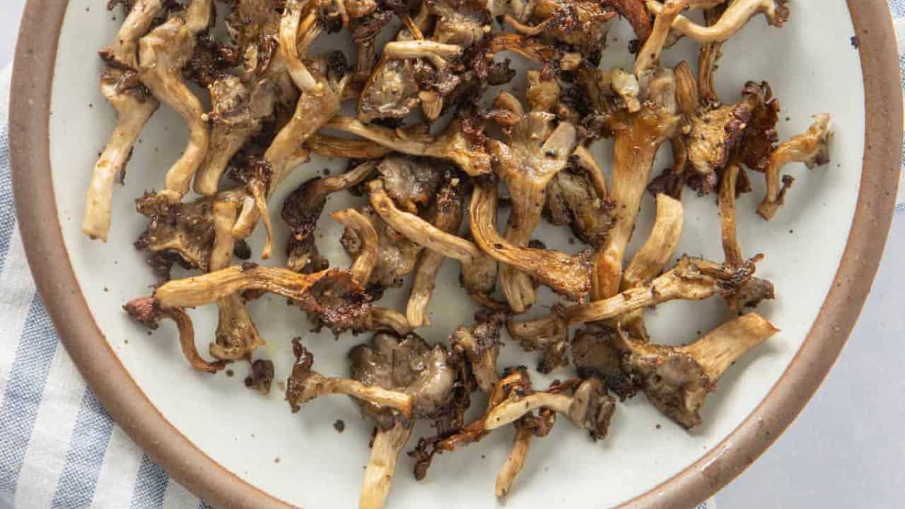 A close up image of roasted oyster mushrooms placed in a plate over a napkin.