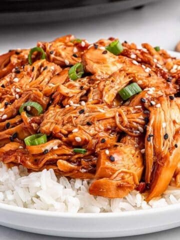 A plate of white rice topped with shredded chicken in a brown sauce, garnished with sliced green onions and sesame seeds, with a spoon on the side.