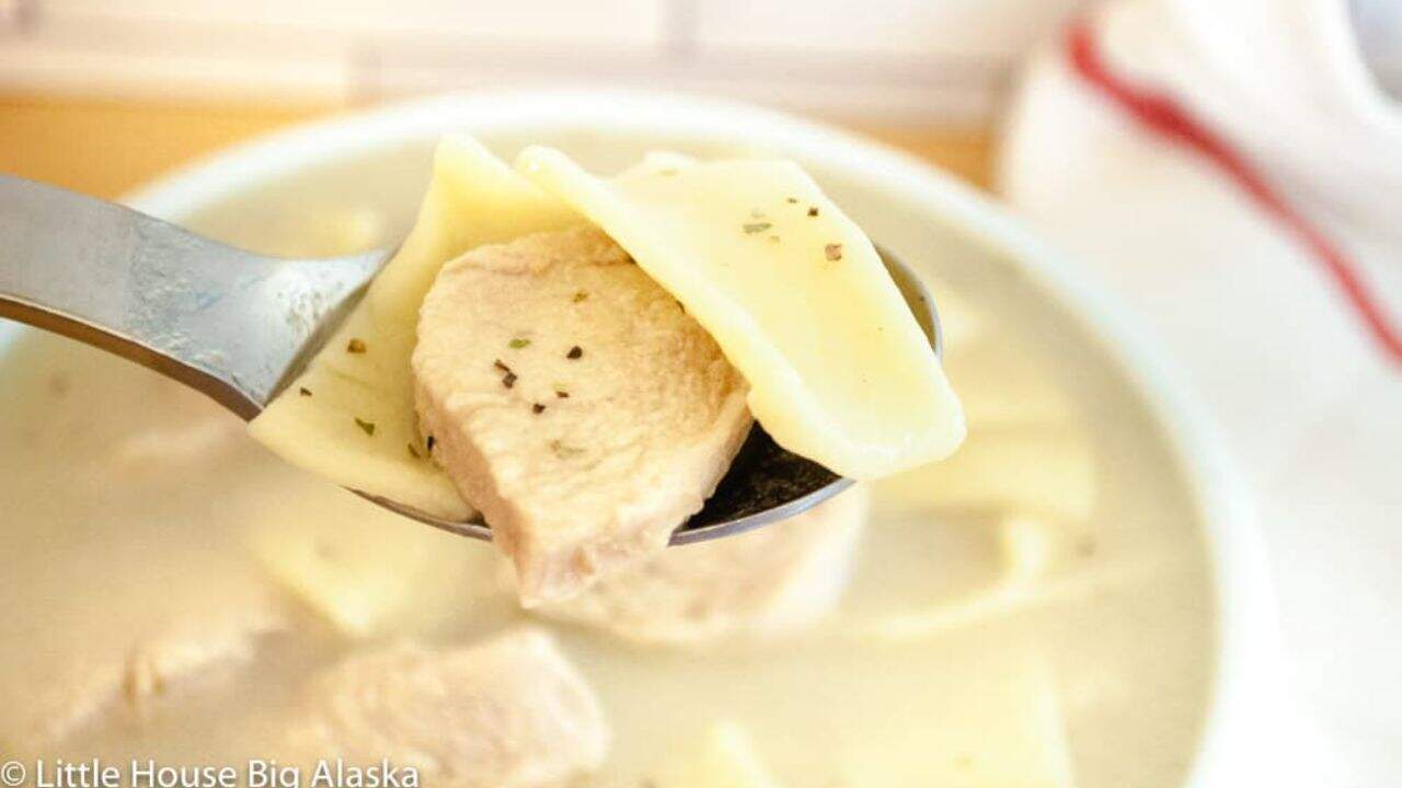 A bowl of chicken and noodles.