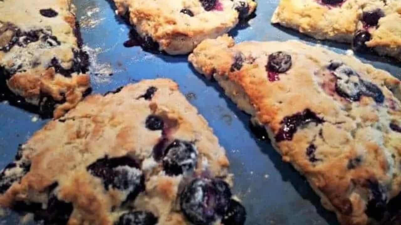 Image shows a Blueberry Scone on a white plate.